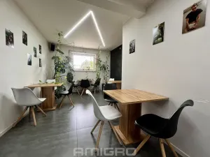 Pronájem obchodního prostoru, Brno, Merhautova, 56 m2