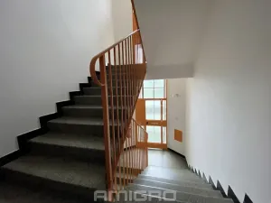 Pronájem bytu 1+1, Brno, Bayerova, 41 m2