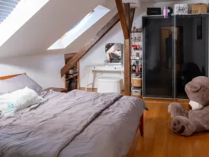 Prodej bytu 4+kk, Mikulov, Nová, 168 m2