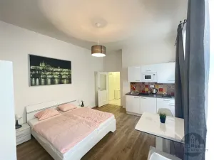 Pronájem bytu 1+kk, Praha, Půtova, 24 m2