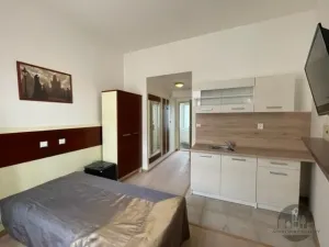 Pronájem bytu 1+kk, Praha - Žižkov, Prokopova, 16 m2