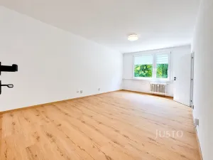 Pronájem bytu 2+1, Ústí nad Labem - Severní Terasa, Ladova, 62 m2