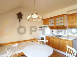 Prodej bytu 1+1, Praha - Žižkov, Na Balkáně, 69 m2