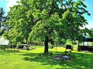 Prodej rodinného domu, Libouchec, 312 m2