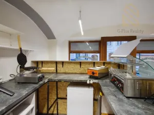 Pronájem obchodního prostoru, Louny, Pivovarská, 55 m2