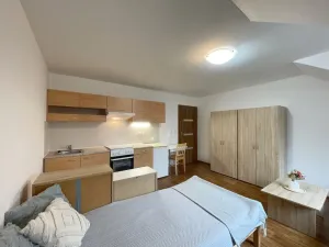 Pronájem bytu 1+kk, Olomouc - Nová Ulice, Balcárkova, 27 m2