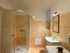 Pronájem bytu 1+kk, Olomouc - Nová Ulice, Balcárkova, 27 m2