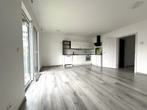 Pronájem bytu 3+kk, Zbůch, Janáčkova, 77 m2