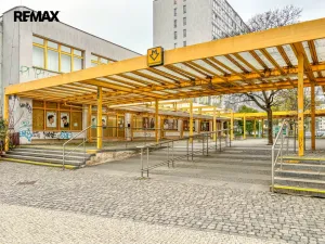 Pronájem bytu 3+1, Praha - Karlín, Molákova, 63 m2