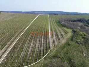 Prodej sadu/vinice, Němčičky, 11748 m2