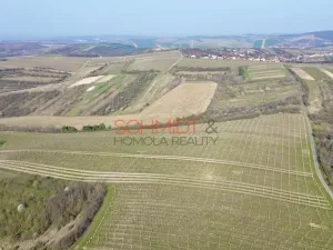 Prodej sadu/vinice, Němčičky, 11748 m2