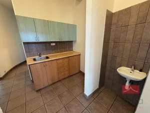 Prodej komerční nemovitosti, Světlá nad Sázavou, Lánecká, 1000 m2