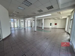 Prodej komerční nemovitosti, Světlá nad Sázavou, Lánecká, 1000 m2