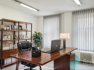 Pronájem kanceláře, Praha, Opletalova, 28 m2