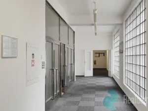 Pronájem kanceláře, Praha, Opletalova, 28 m2