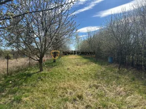 Prodej chaty, Hulín, 19 m2