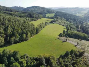 Prodej pole, Chlistov, 4212 m2