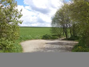 Prodej pozemku, Vítkov, 3225 m2