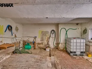 Prodej zemědělské usedlosti, Drhovle - Pamětice, 160 m2