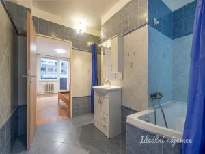 Pronájem bytu 3+kk, Praha - Žižkov, Přemyslovská, 65 m2