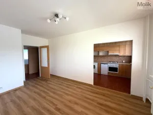 Pronájem bytu 2+1, Most, U Stadionu, 55 m2