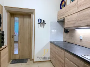 Pronájem bytu 1+1, Olomouc - Hodolany, Geislerova, 26 m2