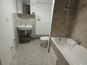 Pronájem bytu 2+1, Březová, Hamerská, 46 m2