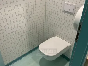 Prodej obchodního prostoru, České Budějovice - České Budějovice 1, Krajinská, 92 m2