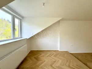 Pronájem bytu 1+kk, Praha - Smíchov, Holečkova, 56 m2