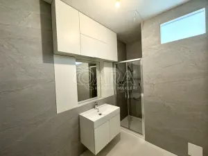 Pronájem bytu 1+kk, Praha - Smíchov, Holečkova, 56 m2