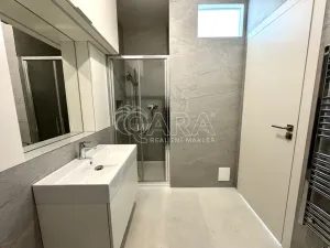 Pronájem bytu 1+kk, Praha - Smíchov, Holečkova, 56 m2