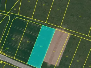 Dražba pole, Osová Bítýška, 1513 m2