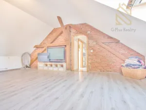 Prodej atypického bytu, Hrobčice - Razice, 244 m2