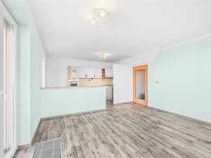 Prodej bytu 3+kk, Plzeň - Újezd, Za Kaštany, 80 m2
