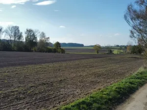 Prodej pole, Řípec, 49992 m2