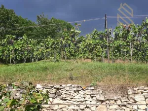 Prodej pozemku pro bydlení, Velké Žernoseky, 4490 m2