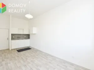 Pronájem bytu 1+kk, Králův Dvůr, Plzeňská, 24 m2