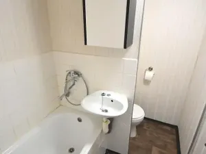 Pronájem bytu 1+1, Chomutov, Růžová, 35 m2