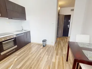 Pronájem bytu 1+1, Ostrava - Mariánské Hory, Korunní, 37 m2