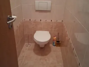 Pronájem bytu 2+1, České Budějovice - České Budějovice 1, Palmová, 72 m2