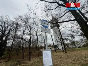 Prodej lesa, Býšť, 3807 m2