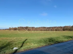 Prodej pozemku pro bydlení, Heřmanův Městec, Havlíčkova, 5663 m2