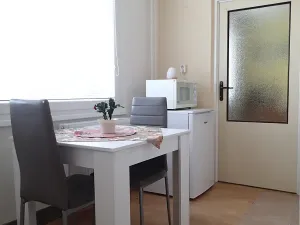 Pronájem bytu 3+1, Hlinsko, Československé armády, 67 m2