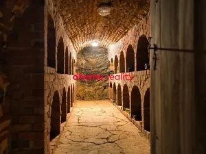 Prodej domu, Luka nad Jihlavou, Nádražní, 2812 m2