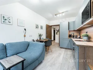 Pronájem bytu 2+kk, Praha, Plzeňská, 43 m2