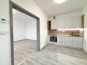 Pronájem bytu 1+1, České Budějovice - České Budějovice 3, Riegrova, 39 m2