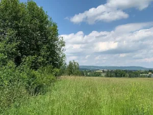 Prodej pozemku pro bydlení, Liběšice - Zimoř, 3579 m2