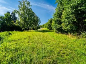 Prodej pozemku pro bydlení, Kamenice, Lesní, 1062 m2