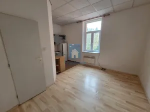 Pronájem bytu 1+kk, Plzeň, Rokycanská, 30 m2