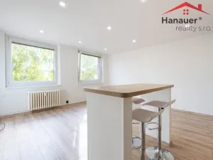 Pronájem bytu 2+kk, Chlumec, Alejní, 48 m2